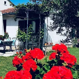Benassi Poreč